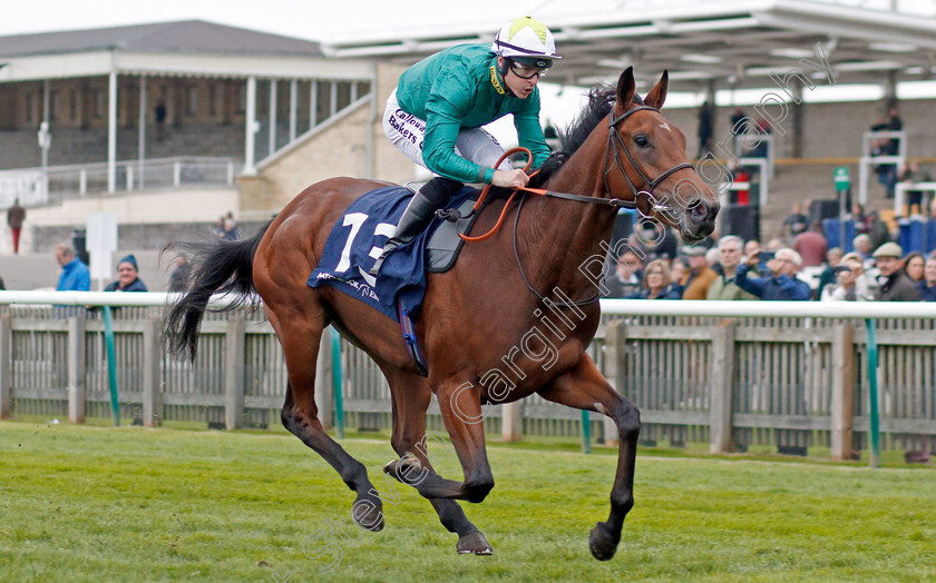 Trefoil-0005 
 TREFOIL (Richard Kingscote) wins The Matchbook EBF Future Stayers Novice Stakes
Newmarket 23 Oct 2019 - Pic Steven Cargill / Racingfotos.com