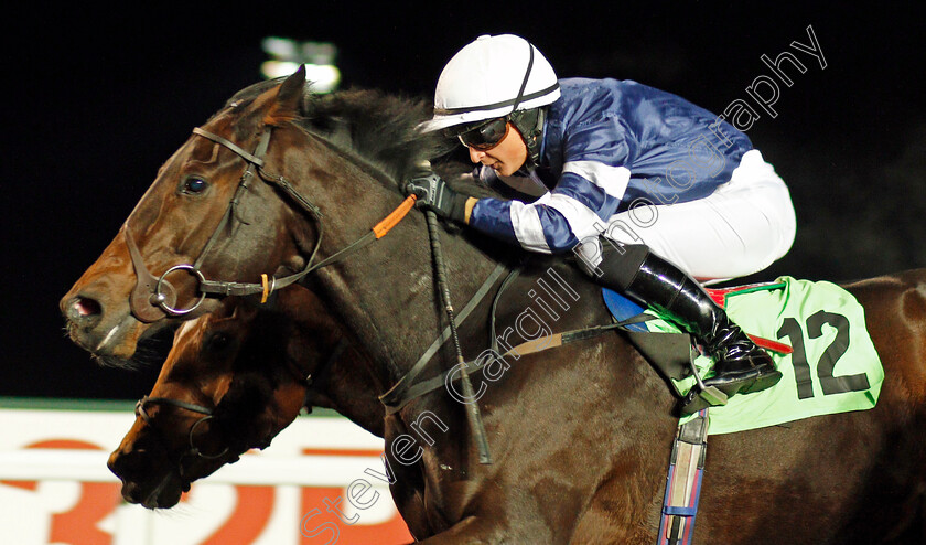 Bird-For-Life-0002 
 BIRD FOR LIFE (Nicola Currie) wins The Racing UK HD Handicap Kempton 8 Nov 2017 - Pic Steven Cargill / Racingfotos.com