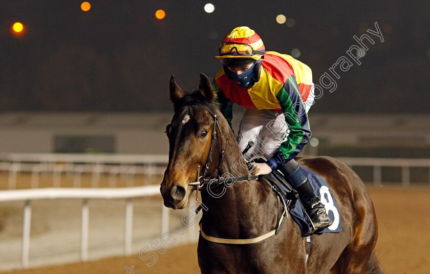 Nayon-0001 
 NAYON (Darragh Keenan)
Wolverhampton 7 Jan 2021 - Pic Steven Cargill / Racingfotos.com