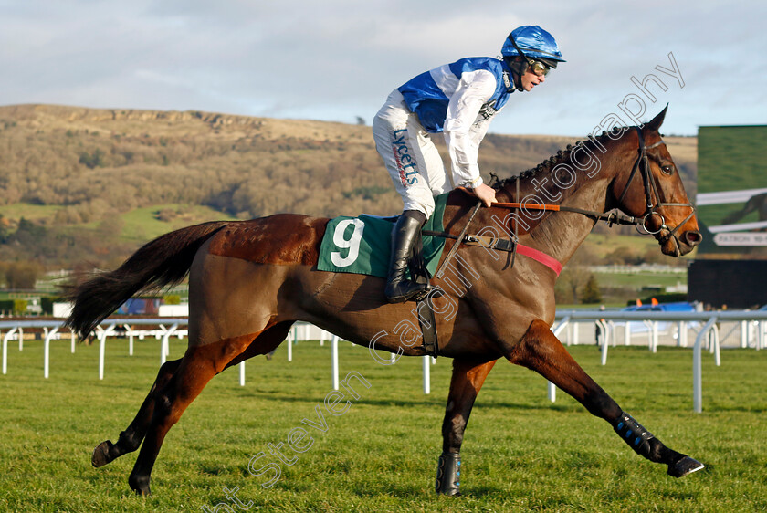 Gemirande-0009 
 GEMIRANDE (Charlie Deutsch) winner of The Nyetimber December Gold Cup
Cheltenham 14 Dec 2024 - Pic Steven Cargill / Racingfotos.com