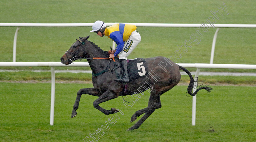 Lone-Star-0002 
 LONE STAR (Thomas Dowson)
Market Rasen 17 Nov 2022 - Pic Steven Cargill / Racingfotos.com