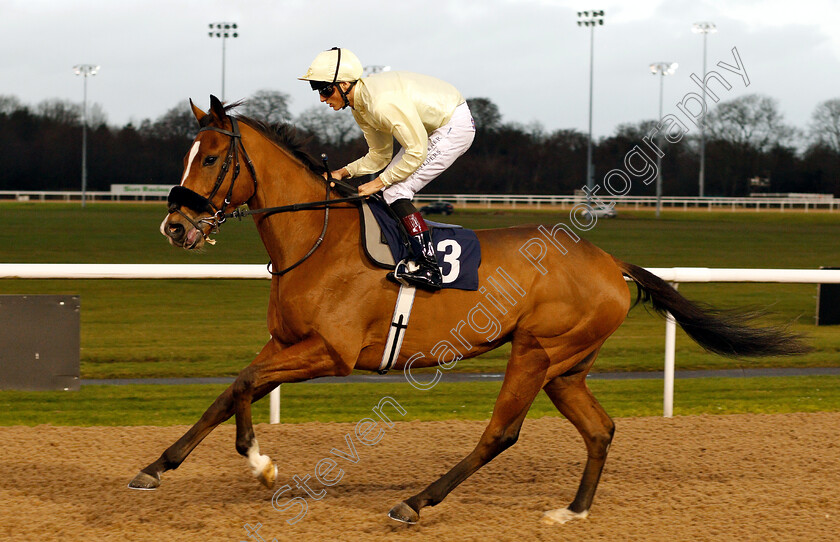 Bigshotte-0001 
 BIGSHOTTE (George Wood)
Wolverhampton 28 Nov 2018 - Pic Steven Cargill / Racingfotos.com