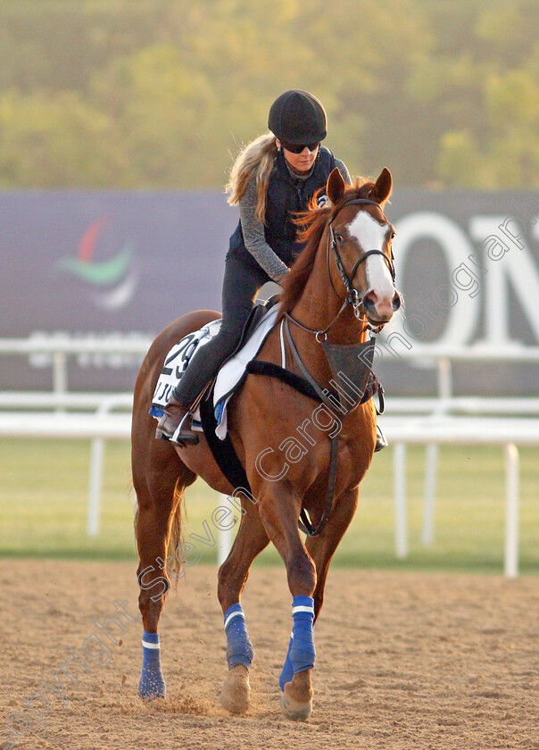 J-J-Jumbo-0002 
 J J JUMBO exercising for trainer Darren Bunyan
Meydan, Dubai, 3 Feb 2022 - Pic Steven Cargill / Racingfotos.com