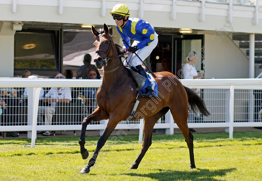 Una-Notte-0001 
 UNA NOTTE (Ross Coakley)
Salisbury 11 Aug 2022 - Pic Steven Cargill / Racingfotos.com