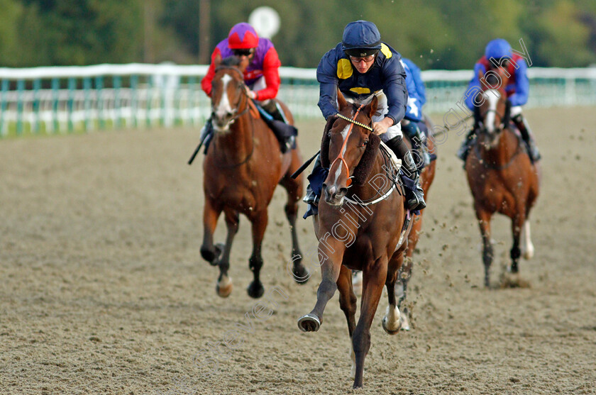 Red-Missile-0004 
 RED MISSILE (Tom Marquand) wins The Betway Casino Maiden Stakes
Lingfield 5 Aug 2020 - Pic Steven Cargill / Racingfotos.com