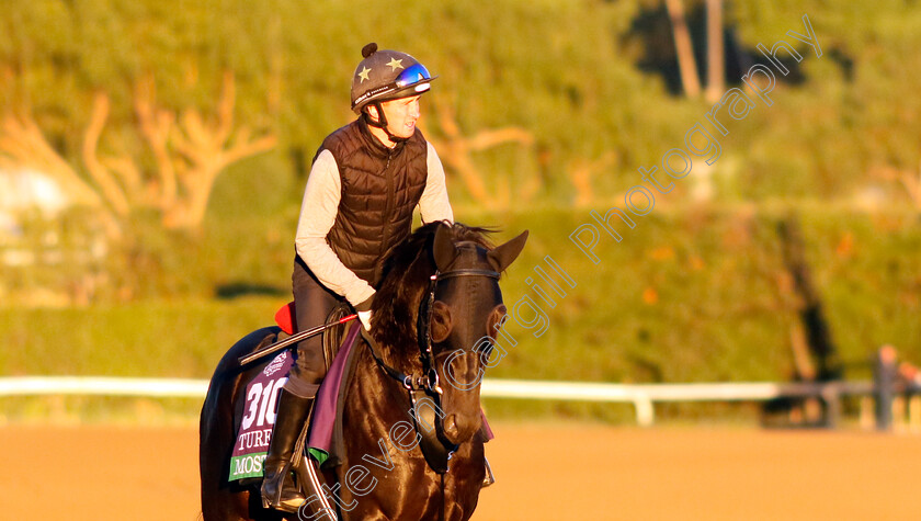 Mostahdaf-0001 
 MOSTAHDAF training for The Breeders' Cup Turf
Santa Anita USA, 31 October 2023 - Pic Steven Cargill / Racingfotos.com