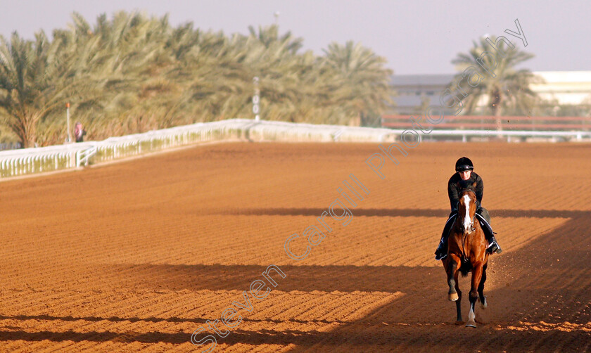 Rohaan-0004 
 ROHAAN training for The Turf Sprint
King Abdulaziz Racetrack, Riyadh, Saudi Arabia 23 Feb 2022 - Pic Steven Cargill / Racingfotos.com