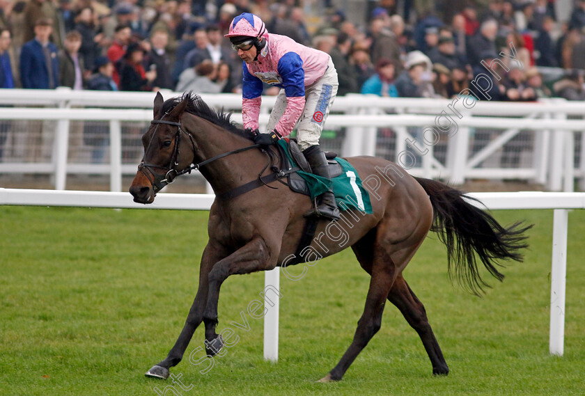 Country-Mile-0003 
 COUNTRY MILE (Harry Skelton) wins The British EBF National Hunt Novices Hurdle
Cheltenham 13 Dec 2024 - Pic Steven Cargill / Racingfotos.com