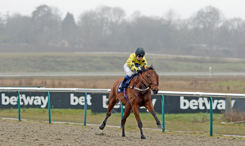 Gavi-di-Gavi-0002 
 GAVI DI GAVI (Georgia King) wins The Bombardier March To Your Own Drum Handicap
Lingfield 10 Mar 2021 - Pic Steven Cargill / Racingfotos.com