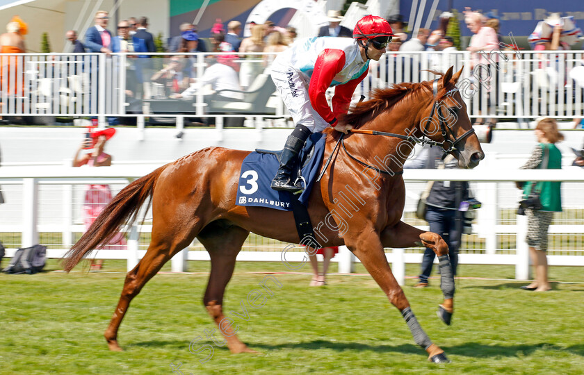 Tunnes-0001 
 TUNNES (Rene Piechulek)
Epsom 2 Jun 2023 - Pic Steven Cargill / Racingfotos.com