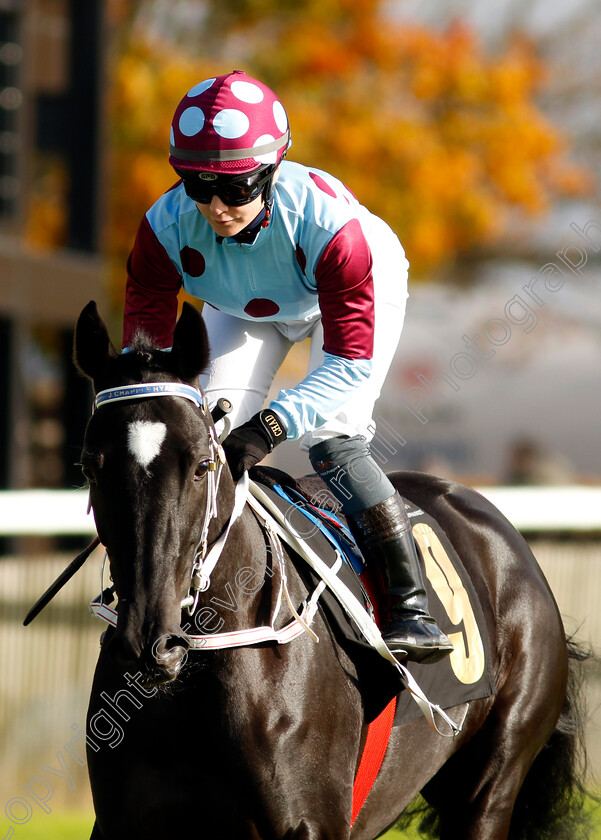 Queen-Himiko-0001 
 QUEEN HIMIKO (Laura Pearson)
Newmarket 23 Oct 2024 - Pic Steven Cargill / Racingfotos.com