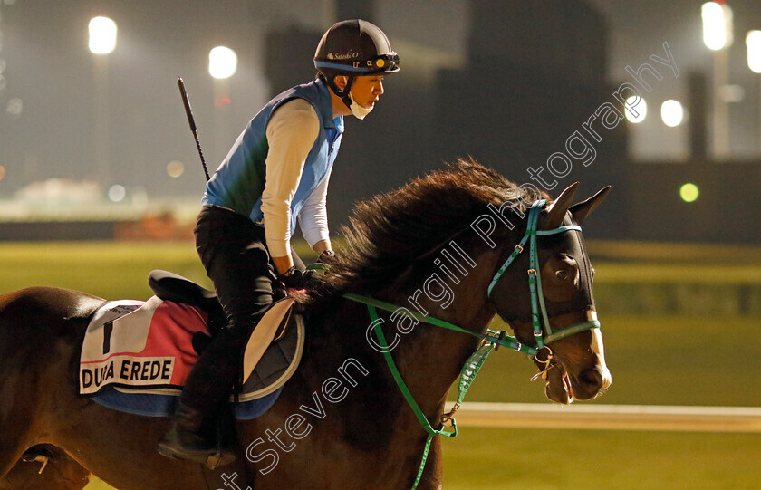 Dura-Erede-0002 
 DURA EREDE training for the UAE Derby
Meydan, Dubai, 21 Mar 2023 - Pic Steven Cargill / Racingfotos.com