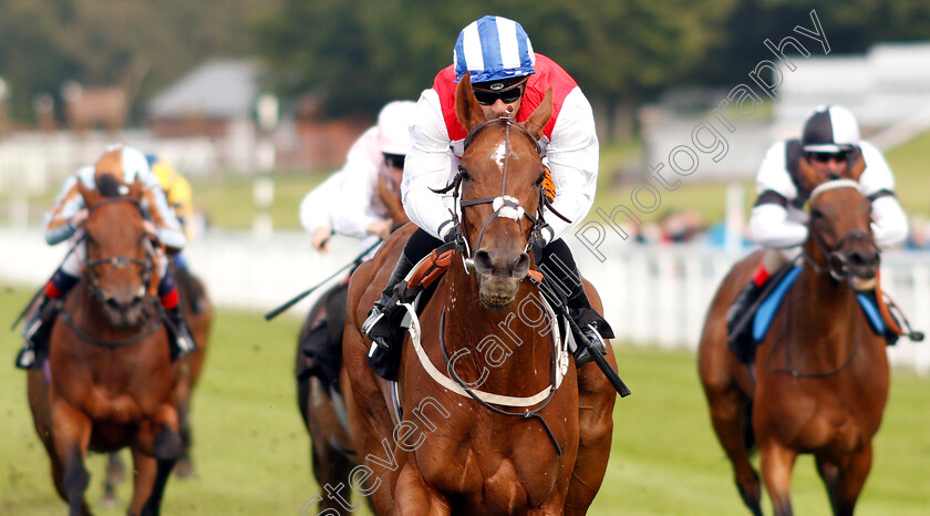 Soldier-In-Action-0002 
 SOLDIER IN ACTION (Silvestre De Sousa) wins The Royal Sussex Regiment Hanidcap
Goodwood 4 Sep 2018 - Pic Steven Cargill / Racingfotos.com