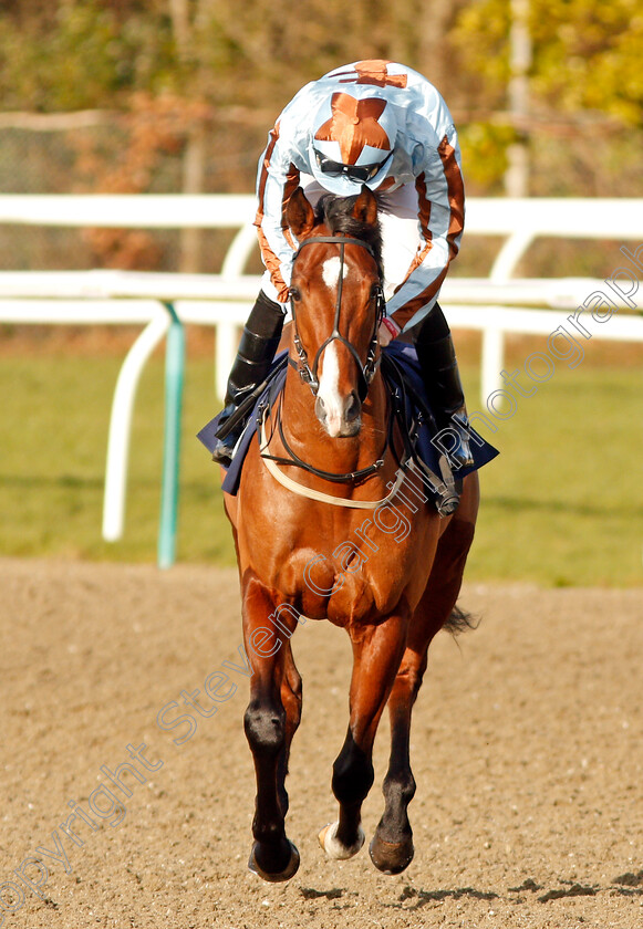 Note-Bleu-0001 
 NOTE BLEU (Hector Crouch)
Lingfield 9 Dec 2019 - Pic Steven Cargill / Racingfotos.com