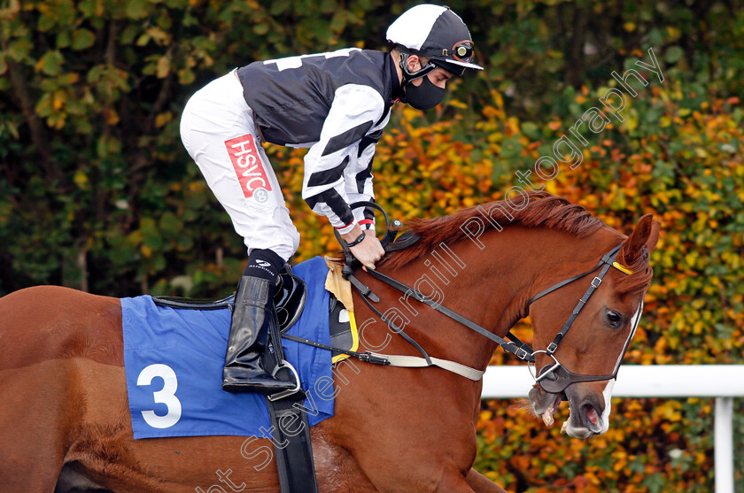 Oud-Metha-Bridge-0002 
 OUD METHA BRIDGE (Tyler Heard)
Kempton 2 Nov 2020 - Pic Steven Cargill / Racingfotos.com