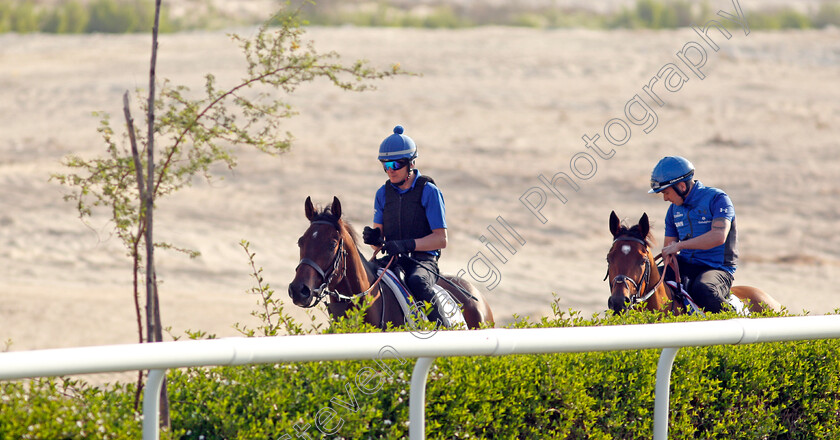 Zakouski-and-Dubai-Future 
 ZAKOUSKI (left) and DUBAI FUTURE (right) exercising in preparation for Friday's Bahrain International Trophy
Sakhir Racecourse, Bahrain 18 Nov 2021 - Pic Steven Cargill / Racingfotos.com