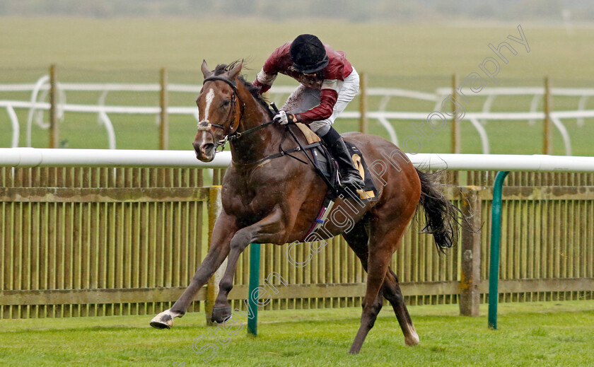 Wonder-Kid-0003 
 WONDER KID (Harry Davies) wins The Graham Budd Horseracing Memorabilia Handicap
Newmarket 26 Sep 2024 - Pic Steven Cargill / Racingfotos.com