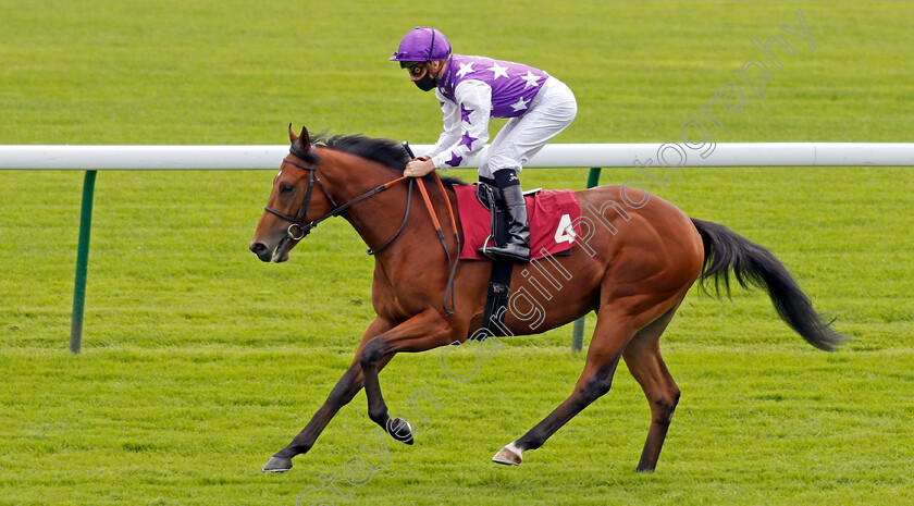 Hey-Mr-0001 
 HEY MR (Jason Watson)
Haydock 3 Sep 2020 - Pic Steven Cargill / Racingfotos.com