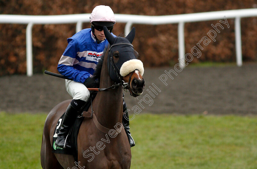 Darling-Maltaix-0001 
 DARLING MALTAIX (Lorcan Williams)
Kempton 12 Jan 2019 - Pic Steven Cargill / Racingfotos.com