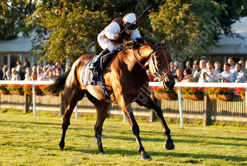 Flying-North-0003 
 FLYING NORTH (Hollie Doyle) wins The Fly London Southend Airport To Budapest British EBF Fillies Handicap
Newmarket 10 Aug 2018 - Pic Steven Cargill / Racingfotos.com