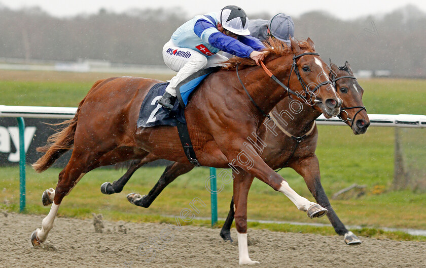 Dublin-Pharaoh-0009 
 DUBLIN PHARAOH (Andrea Atzeni) wins The Ladbrokes Home Of The Odds Boost Novice Stakes
Lingfield 15 Feb 2020 - Pic Steven Cargill / Racingfotos.com