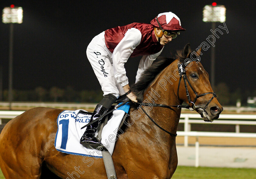 Glorious-Journey-0001 
 GLORIOUS JOURNEY (James Doyle) before The Al Fahidi Fort
Meydan 23 Jan 2020 - Pic Steven Cargill / Racingfotos.com