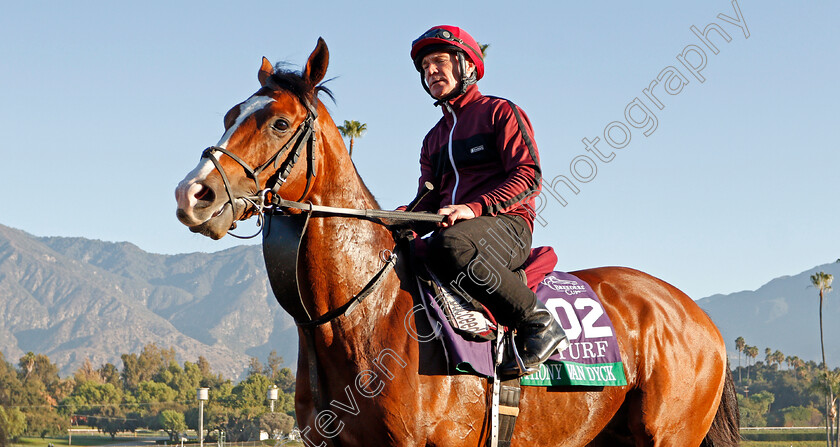 Anthony-Van-Dyck-0002 
 ANTHONY VAN DYCK (Dean Gallagher) training for The Breeders' Cup Turf
Santa Anita USA 31 Oct 2019 - Pic Steven Cargill / Racingfotos.com