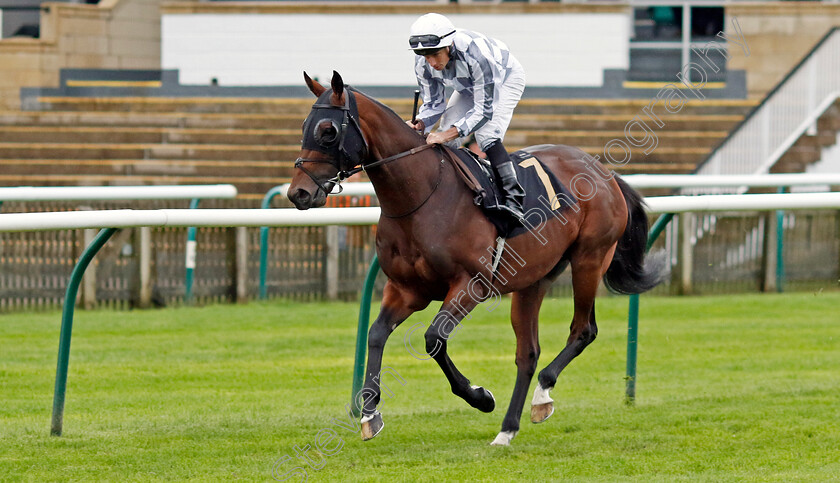 Fighter-0001 
 FIGHTER (Ryan Moore)
Newmarket 26 Sep 2024 - pic Steven Cargill / Racingfotos.com