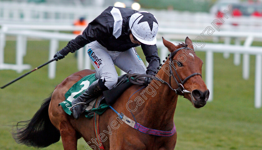 Relegate-0002 
 RELEGATE (Katie Walsh) wins The Weatherbys Champion Bumper Cheltenham 14 Mar 2018 - Pic Steven Cargill / Racingfotos.com