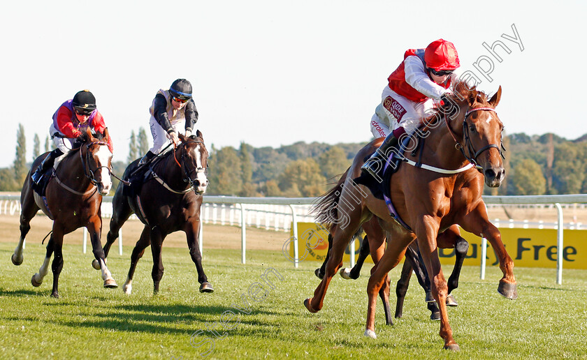 Tritonic-0006 
 TRITONIC (Oisin Murphy) wins The Haynes Hanson & Clark Conditions Stakes
Newbury 20 Sep 2019 - Pic Steven Cargill / Racingfotos.com