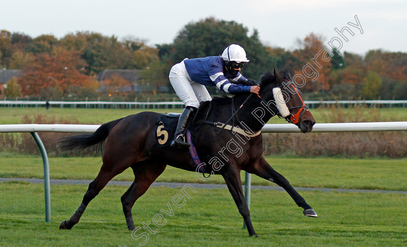 Born-To-Please-0003 
 BORN TO PLEASE (Harriet Tucker) wins The Mansionbet Watch And Bet AJA Amateur Jockeys' Handicap Div2
Nottingham 28 Oct 2020 - Pic Steven Cargill / Racingfotos.com