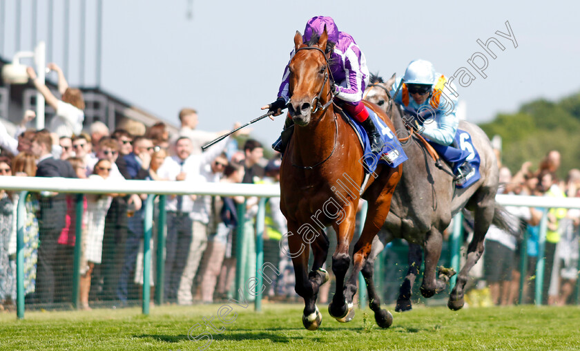 Little-Big-Bear-0007 
 LITTLE BIG BEAR (Frankie Dettori) wins The Betfred Nifty Fifty Sandy Lane Stakes
Haydock 27 May 2023 - pic Steven Cargill / Racingfotos.com