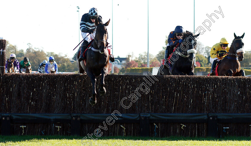 Tikkinthebox-0001 
 TIKKINTHEBOX (Matt Griffiths)
Kempton 21 Oct 2018 - Pic Steven Cargill / Racingfotos.com