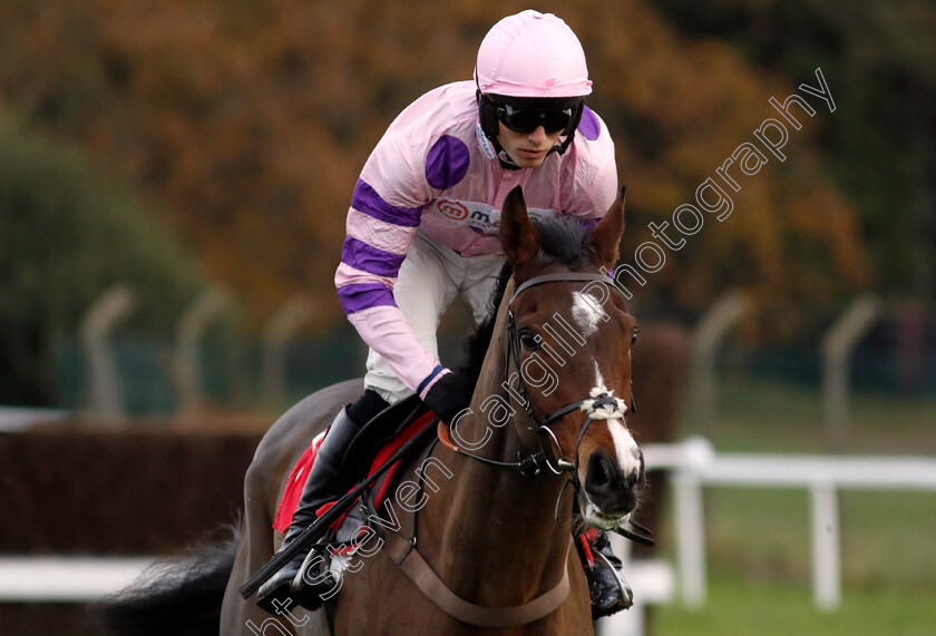 Stay-Away-Fay-0011 
 STAY AWAY FAY (Harry Cobden) wins The Betfair Esher Novices Chase
Sandown 8 Dec 2023 - pic Steven Cargill / Racingfotos.com