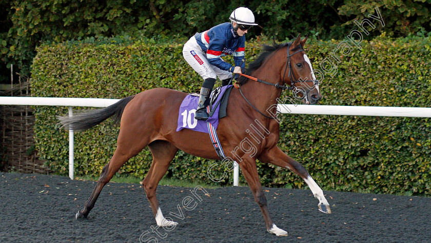 Spanish-Kiss-0001 
 SPANISH KISS (Hollie Doyle) 
Kempton 2 Oct 2019 - Pic Steven Cargill / Racingfotos.com