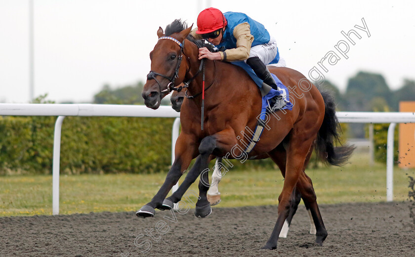 Dunamase-0003 
 DUNAMASE (James Doyle) wins The Unitbet British Stallion Studs EBF Novice Stakes
Kempton 28 Aug 2024 - Pic Steven Cargill / Racingfotos.com