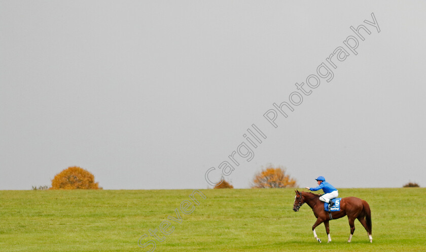 Shadow-Of-Light-0009 
 SHADOW OF LIGHT (William Buick) winner of The Darley Dewhurst Stakes
Newmarket 12 Oct 2024 - Pic Steven Cargill / Racingfotos.com