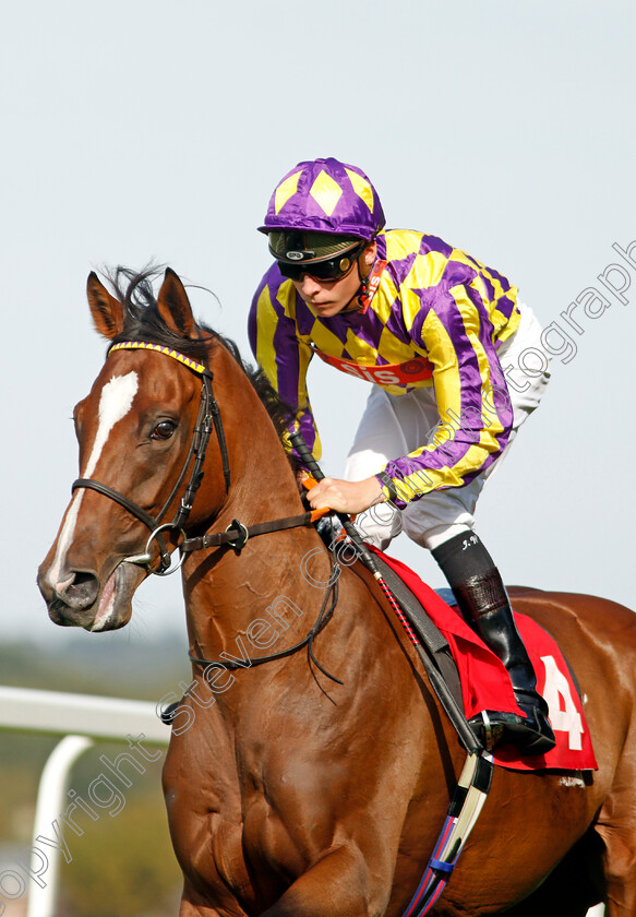 Skyman-0003 
 SKYMAN (Jason Watson) before The Betway Live Casino Handicap
Sandown 30 Aug 2019 - Pic Steven Cargill / Racingfotos.com