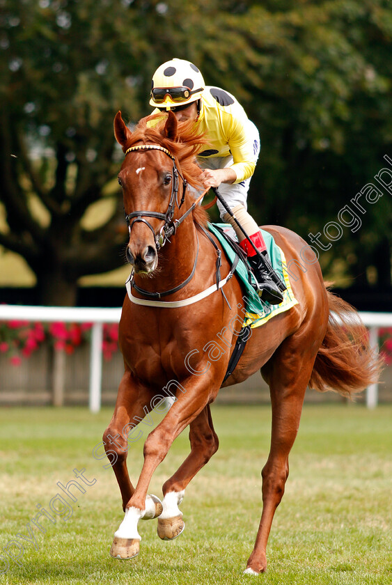 Juan-Elcano-0002 
 JUAN ELCANO (Andrea Atzeni)
Newmarket 13 Jul 2019 - Pic Steven Cargill / Racingfotos.com