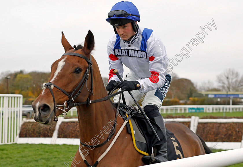 Lord-Of-Cheshire-0004 
 LORD OF CHESHIRE (Finn Lambert) winner of The Bluenose Day Conditional Jockeys Handicap Hurdle
Warwick 22 Nov 2023 - Pic Steven Cargill / Racingfotos.com