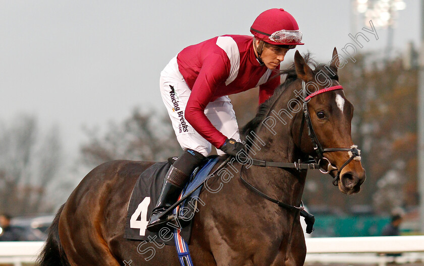 Colonize-0002 
 COLONIZE (Jim Crowley) before The Extra Places At totesport.com Novice Stakes
Chelmsford 25 Nov 2019 - Pic Steven Cargill / Racingfotos.com