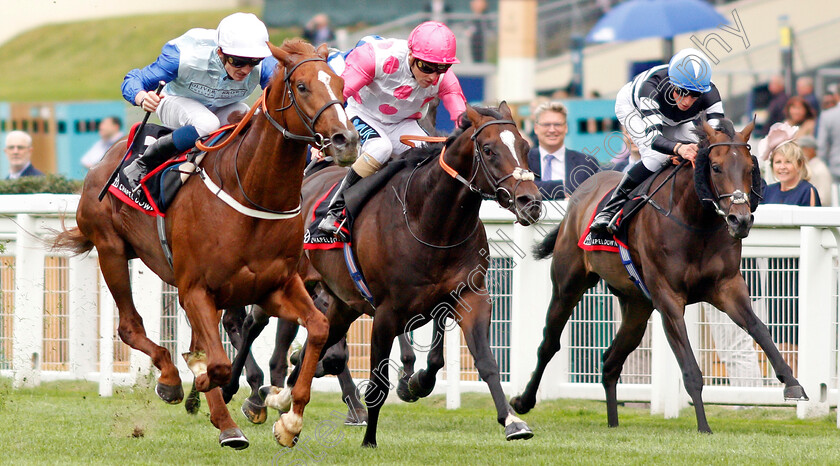 Ebury-0001 
 EBURY (left, Rob Hornby) beats TULFARRIS (centre) andTROLIUS (right) in The Chapel Down Classified Stakes
Ascot 6 Sep 2019 - Pic Steven Cargill / Racingfotos.com