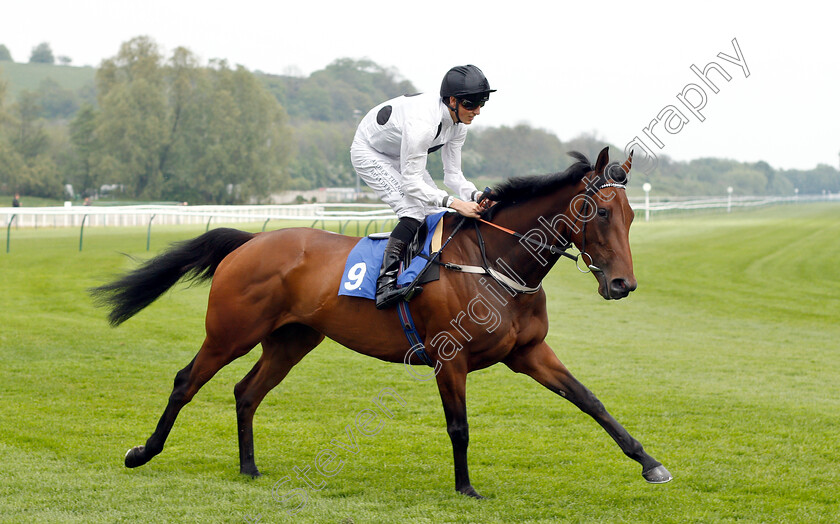 Sincerity-0001 
 SINCERITY (George Wood)
Nottingham 30 Apr 2019 - Pic Steven Cargill / Racingfotos.com