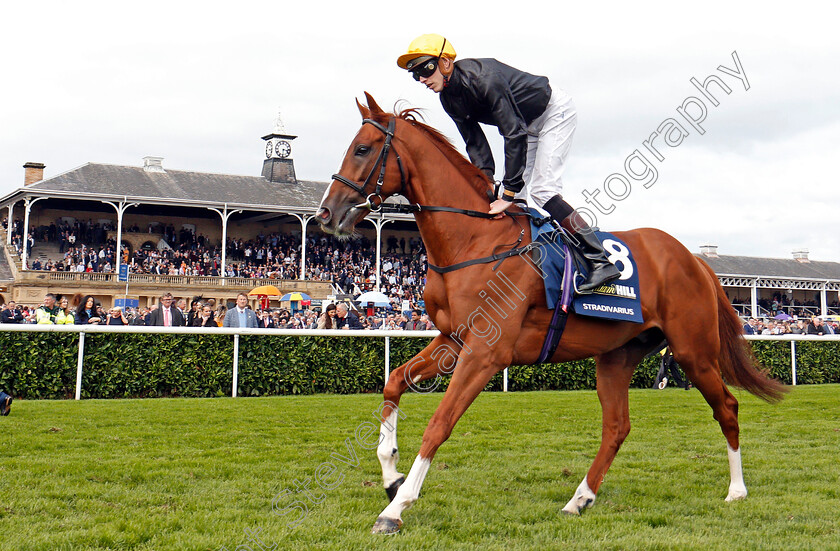 Stradivarius-0001 
 STRADIVARIUS (James Doyle) Doncaster 16 Sep 2017 - Pic Steven Cargill / Racingfotos.com