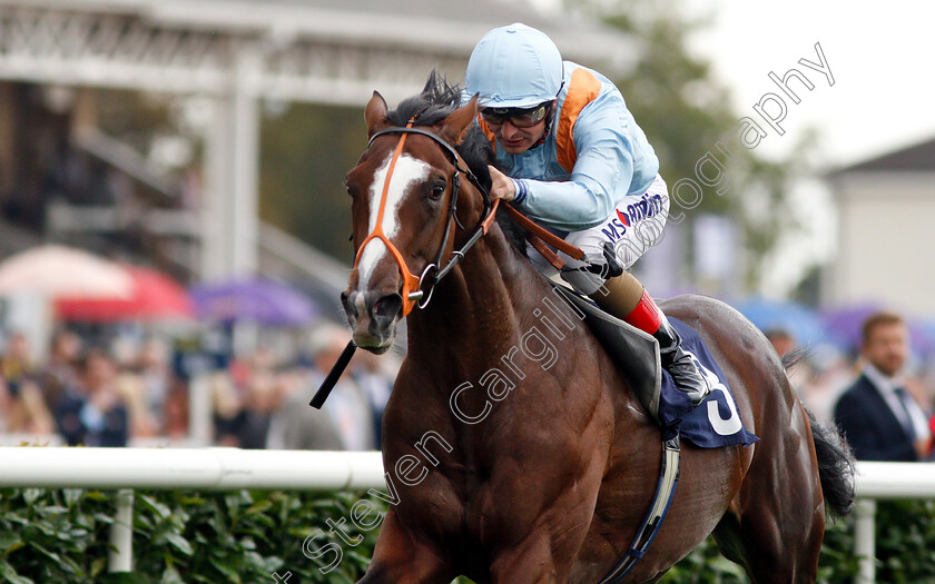 Leroy-Leroy-0007 
 LEROY LEROY (Andrea Atzeni) wins The Napoleons Casinos & Restaurants Nursery
Doncaster 15 Sep 2018 - Pic Steven Cargill / Racingfotos.com