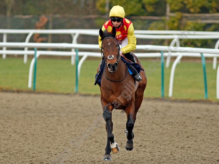 Ambient-0001 
 AMBIENT (Jack Mitchell) Lingfield 6 Jan 2018 - Pic Steven Cargill / Racingfotos.com