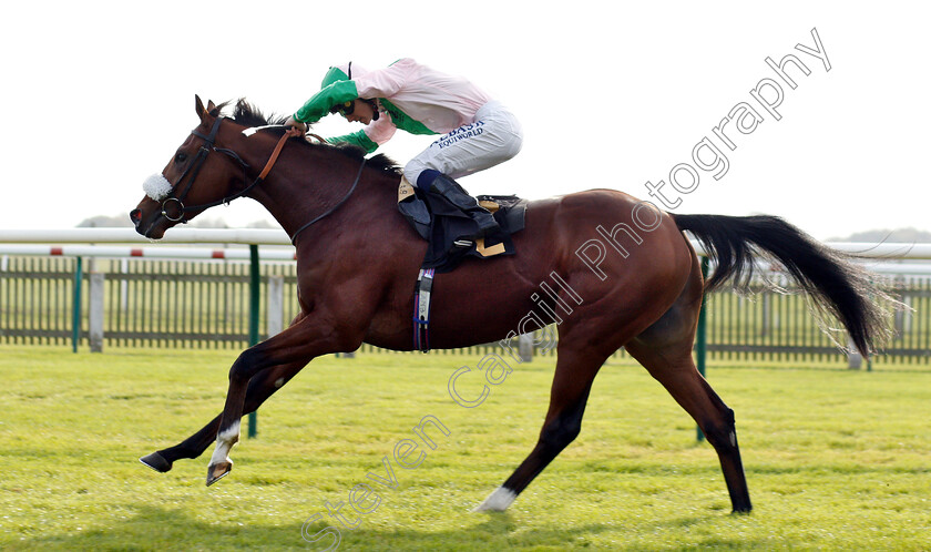 Bell-Rock-0008 
 BELL ROCK (Oisin Murphy) wins The Willow Novice Stakes
Newmarket 24 Oct 2018 - Pic Steven Cargill / Racingfotos.com