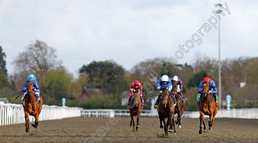 Sahara-Snow-0004 
 SAHARA SNOW (2nd right, David Probert) beats WINTER SNOWFALL (right) and JUNEBERRY (left) in The Unibet Zero% Mission Fillies Novice Stakes
Kempton 3 Apr 2024 - Pic Steven Cargill / Racingfotos.com