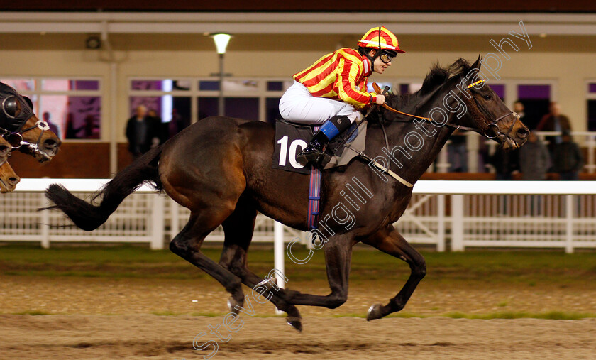 Wimpole-Hall-0006 
 WIMPOLE HALL (Gaia Boni) wins The Celebrate November's Hero Richard Shepherd Handicap
Chelmsford 19 Nov 2019 - Pic Steven Cargill / Racingfotos.com