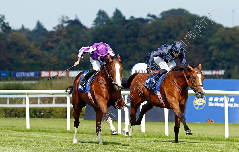 Diego-Velazquez-0006 
 DIEGO VELAZQUEZ (left, Ryan Moore) beats CAPULET (right) in The KPMG Champions Juvenile Stakes
Leopardstown 9 Sep 2023 - Pic Steven Cargill / Racingfotos.com